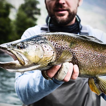 Yelcho En La Patagonia Villa Chaitén Kültér fotó